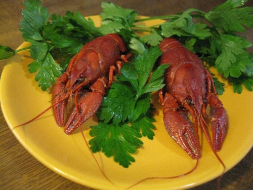 Раки сваренные в пиве