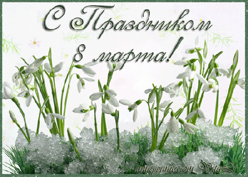 Невестки против свекровей. noname.