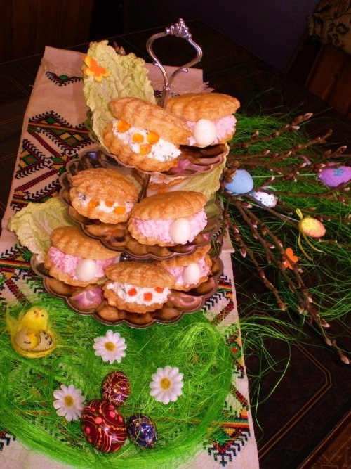 Морські ракушки