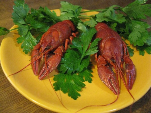 Crayfish cooked in beer
