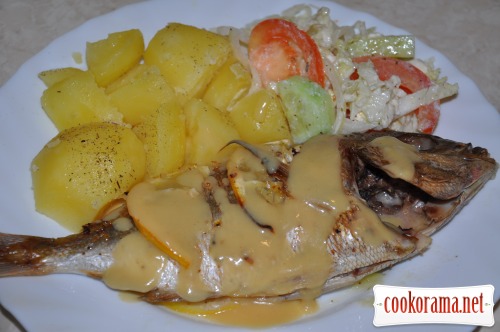 Grilled Dorado with wine sauce