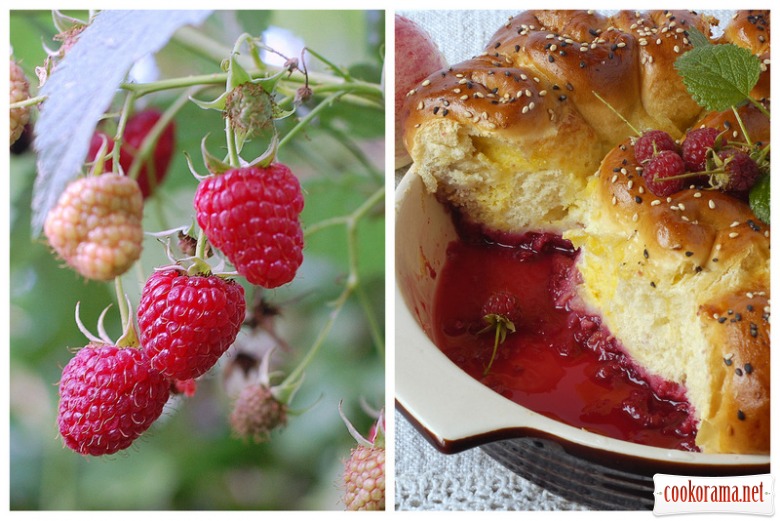 Buns with custard on raspberry-apple basis