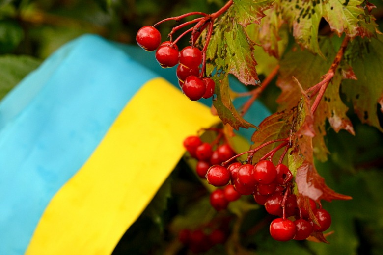 З Днем Незалежності, Україна!З Днем Незалежності, українці!