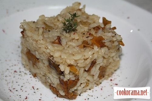 Rice with chanterelles (Arroz con setas)