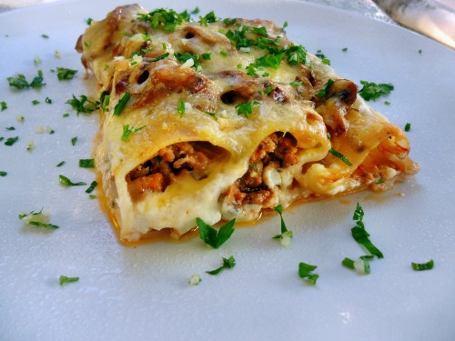 Cannelloni filled with meat stuffing, baked with mushrooms and cheese