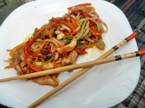 Udon noodles with chicken and vegetables
