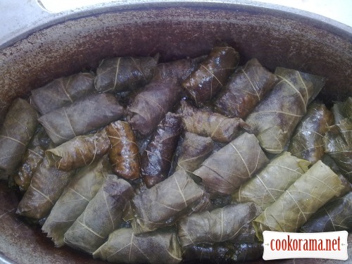 Turkish dolma