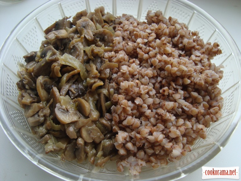 Pancakes with buckwheat and mushrooms