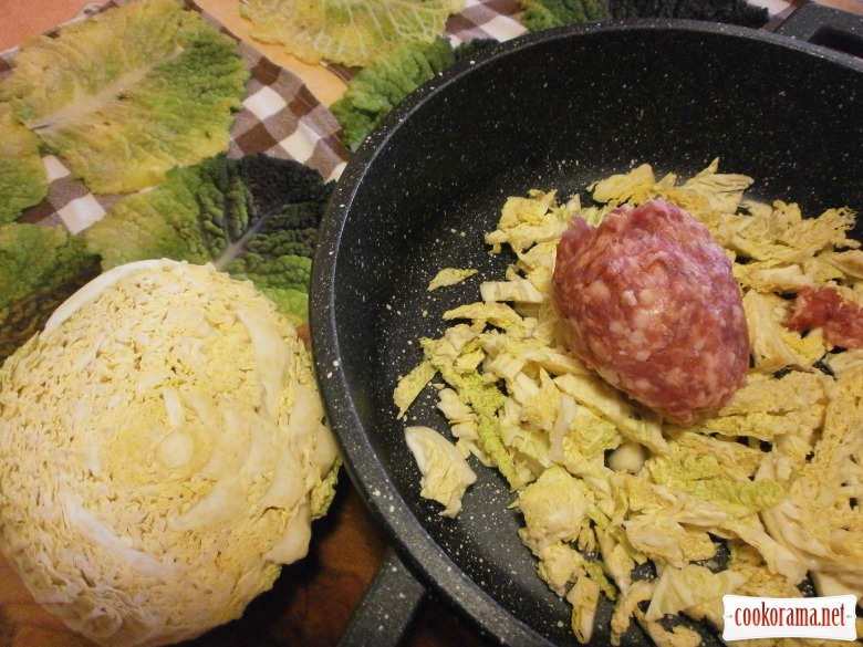 Cabbage rolls from savoy cabbage with garnish of red cabbage, presented in two colors