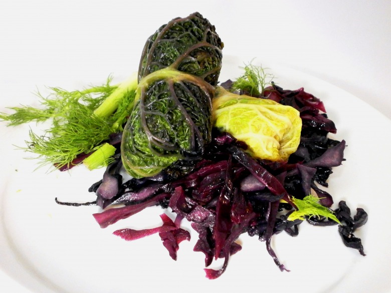 Cabbage rolls from savoy cabbage with garnish of red cabbage, presented in two colors