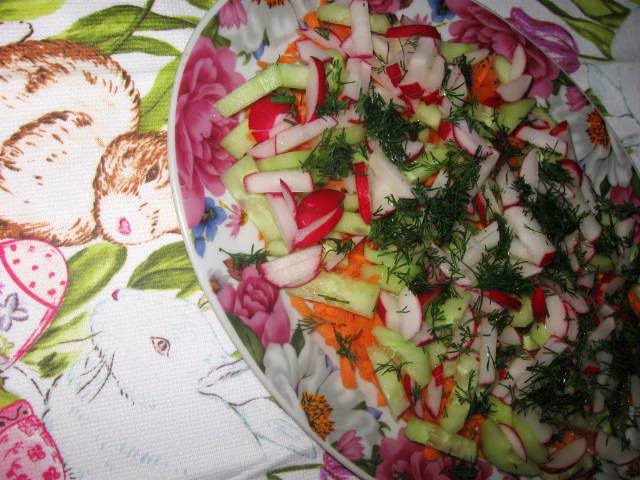 Salad from radish, carrot and cucumber